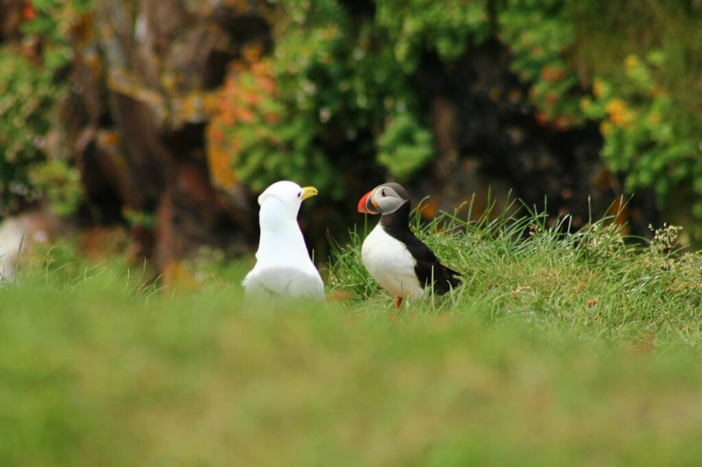 Emergent Systems: Architecting Antifragile Growth In Complex Environments
